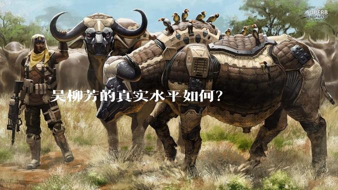 吴柳芳的真实水平如何？