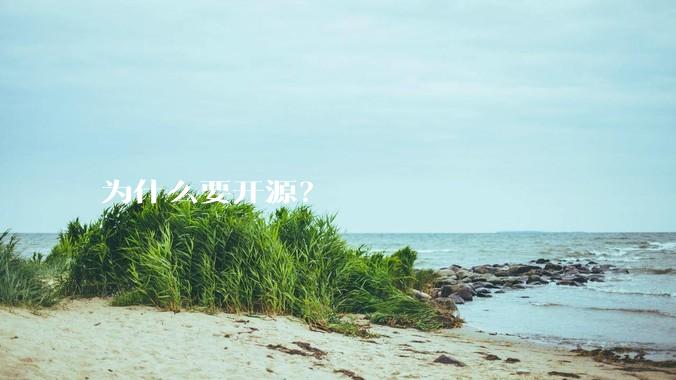 为什么要开源？