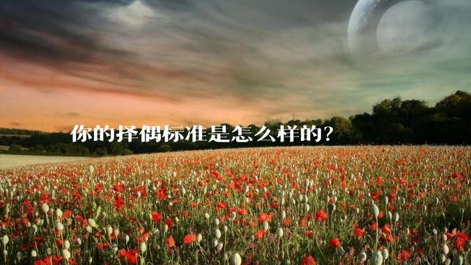 你的择偶标准是怎么样的？