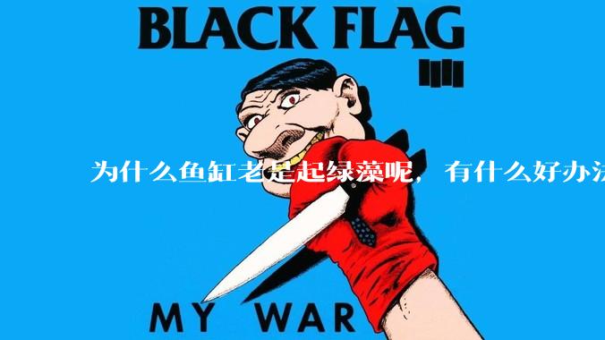为什么鱼缸老是起绿藻呢，有什么好办法不用整天擦鱼缸？