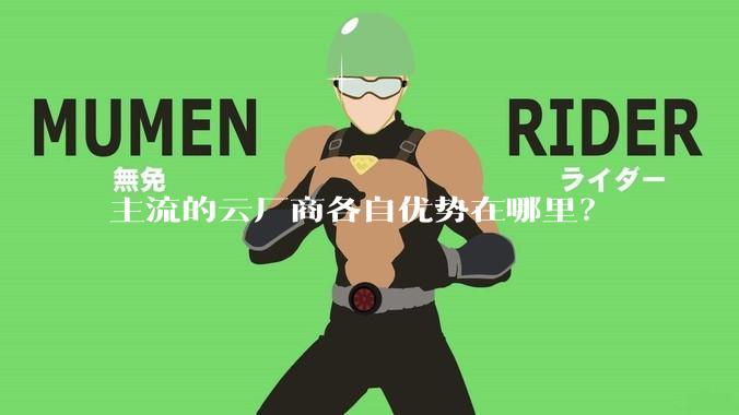 主流的云厂商各自优势在哪里？